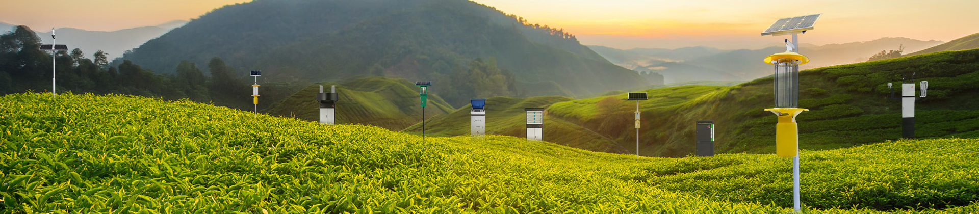 虫情测报灯_太阳能高空测报灯_智能孢子捕捉仪_太阳能杀虫灯-新乡天意新能源